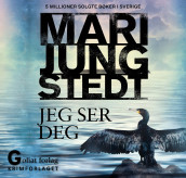 Jeg ser deg av Mari Jungstedt (Nedlastbar lydbok)