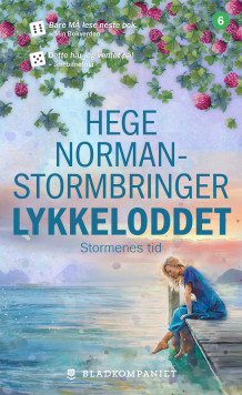 Stormenes tid av Hege Norman-Stormbringer (Ebok)