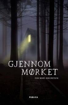 Gjennom mørket av Eva Marí Amundsen (Ebok)