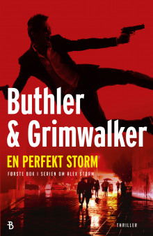 En perfekt storm av Dan Buthler og Leffe Grimwalker (Heftet)