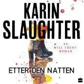 Etter den natten av Karin Slaughter (Nedlastbar lydbok)