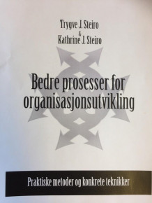 Bedre prosesser for organisasjonsutvikling av Trygve J. Steiro og Kathrine J. Steiro (Heftet)