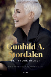 Det store bildet av Jonas Forsang og Gunhild A. Stordalen (Innbundet)