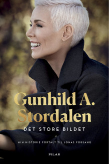 Det store bildet av Gunhild A. Stordalen og Jonas Forsang (Innbundet)