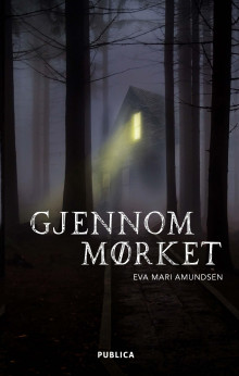 Gjennom mørket av Eva Marí Amundsen (Innbundet)