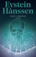 Omslag - Svart landskap