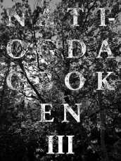 Natt- og dagboken III av Ulv Ulv Tommy Skoglund (Ebok)