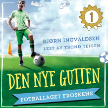 Den nye gutten av Bjørn Ingvaldsen (Nedlastbar lydbok)