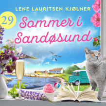 Sommer i Sandøsund - luke 29 av Lene Lauritsen Kjølner (Nedlastbar lydbok)